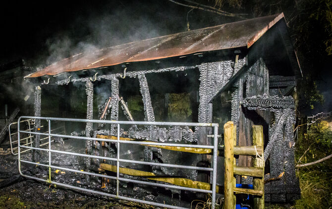 Pferdestall abgebrannt - Bild 04_2