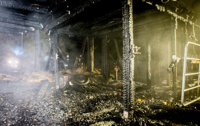 Pferdestall abgebrannt - Bild 16_16