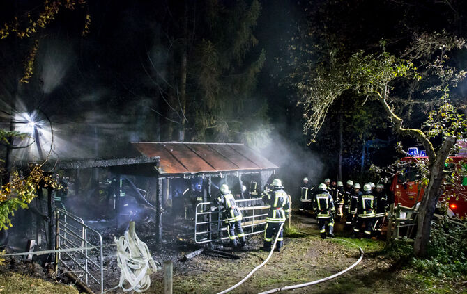 Pferdestall abgebrannt - Bild 07_8