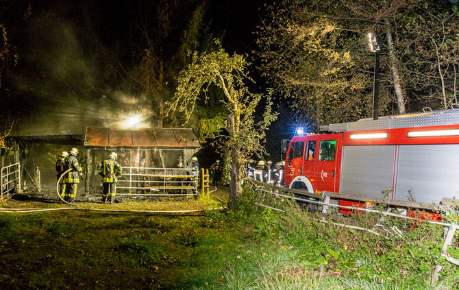 Pferdestall abgebrannt - Bild 05_6