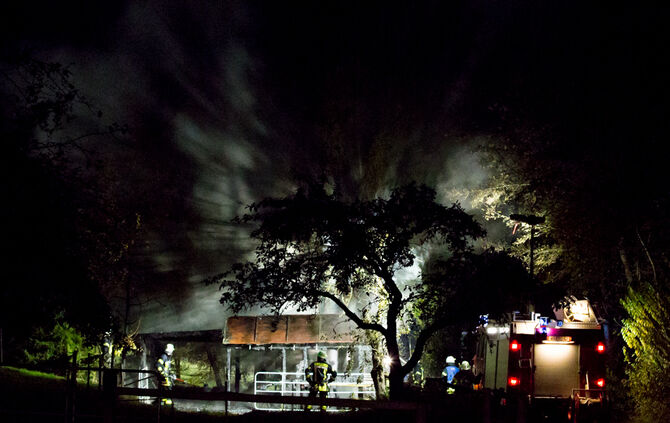 Pferdestall abgebrannt - Bild 01_4