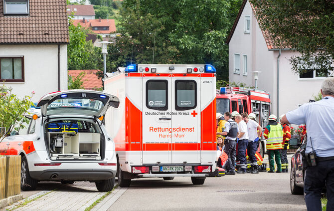 Vom eigenen Transporter überrollt - Bild 07_0