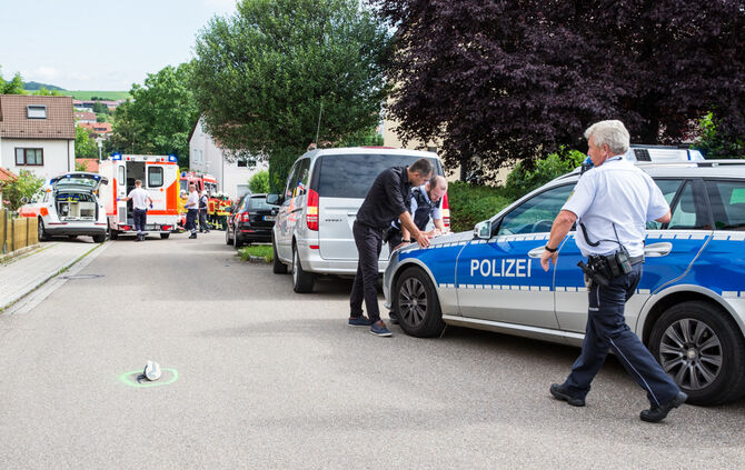 Vom eigenen Transporter überrollt - Bild 20_5