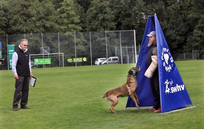 Hundesport