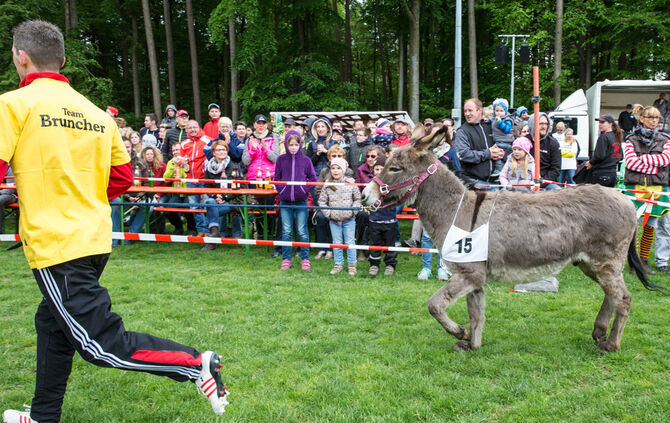 Eselrennen_14