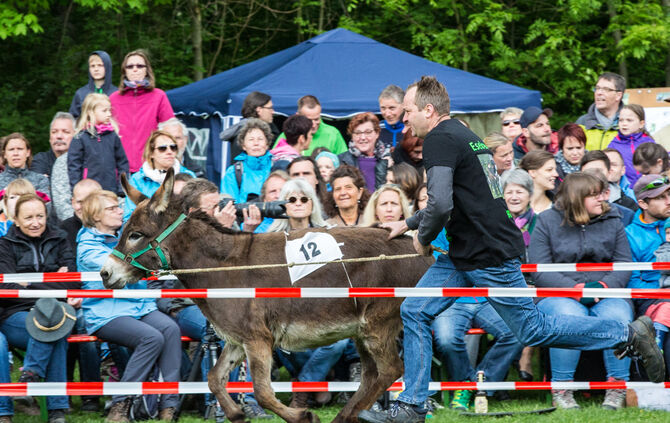 Eselrennen_21