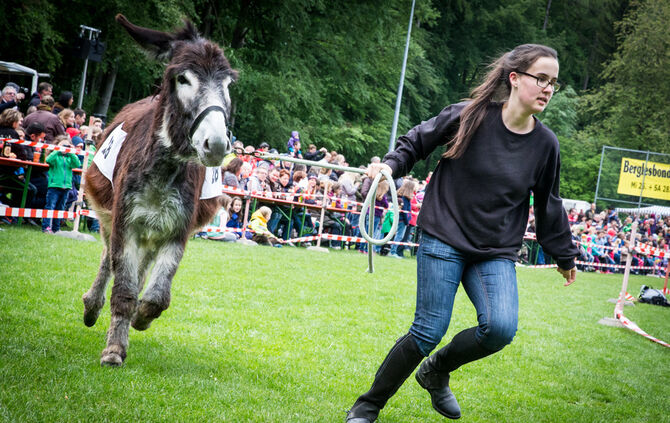 Eselrennen_22