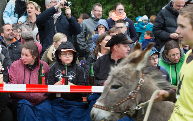 Eselrennen_26