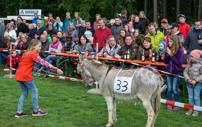 Eselrennen_54