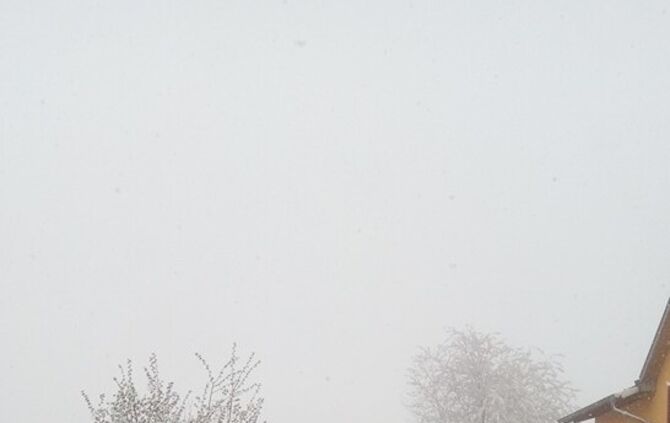 13062143_10204612766637405_5693646685074306242_n_1