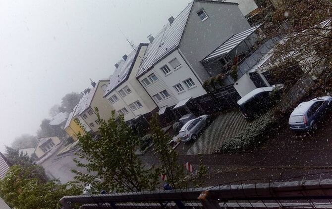 WInter_3_Beinstein_4