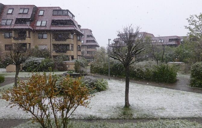 Winter_5_Waiblingen_6