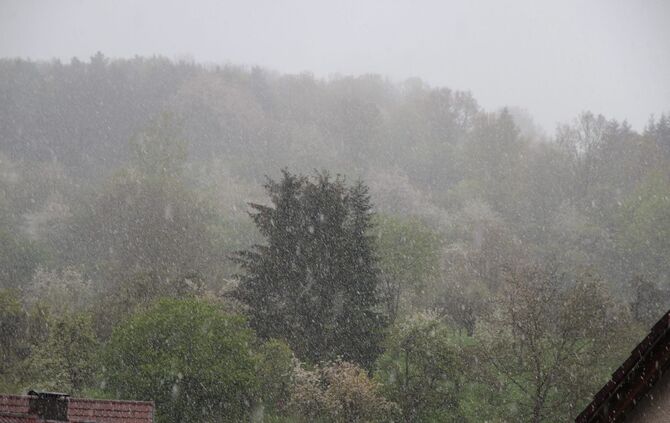 Winter_12_Miedelsbach_12