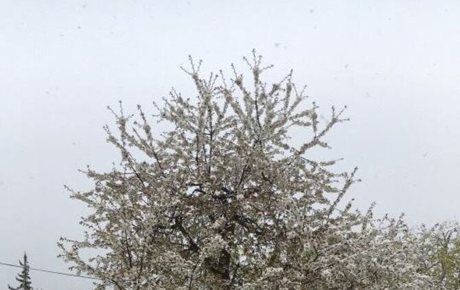 WInter_14_KeineAhnung_14