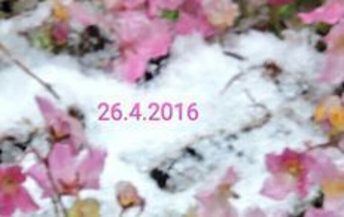 Winter_15_Weinstadt_15