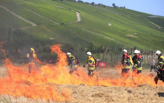 Flächenbrand