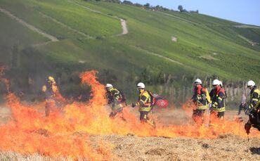 Flächenbrand