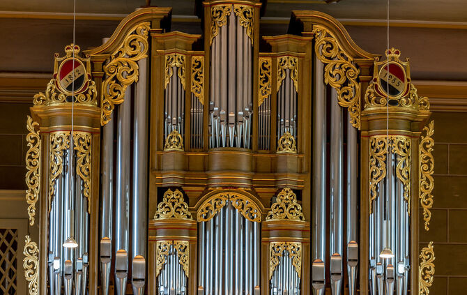 Schlosskirche-Orgel