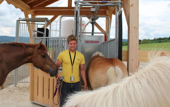 Selbstbedienung im Pferdestall - Schorndorf - Zeitungsverlag Waiblingen