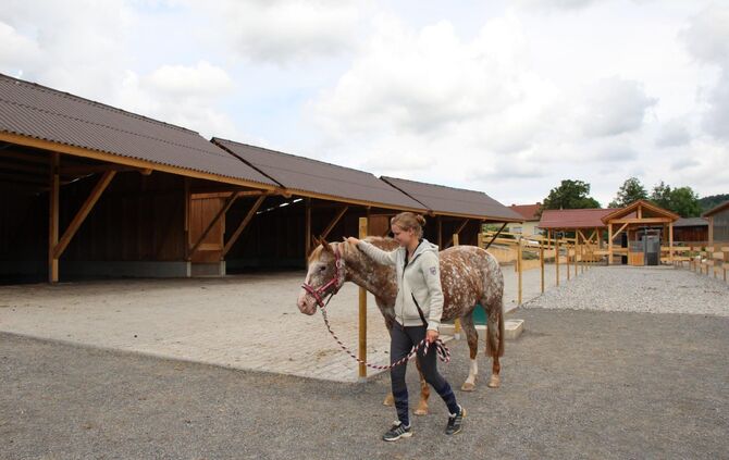 6f97aea2-97b7-4246-aee6-56515affd631.jpg_1