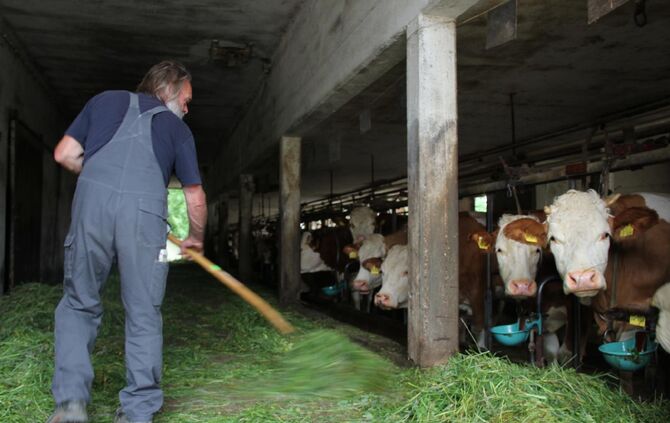 2d7f1272-f461-45cd-a444-d112796b7d3d.jpg_3