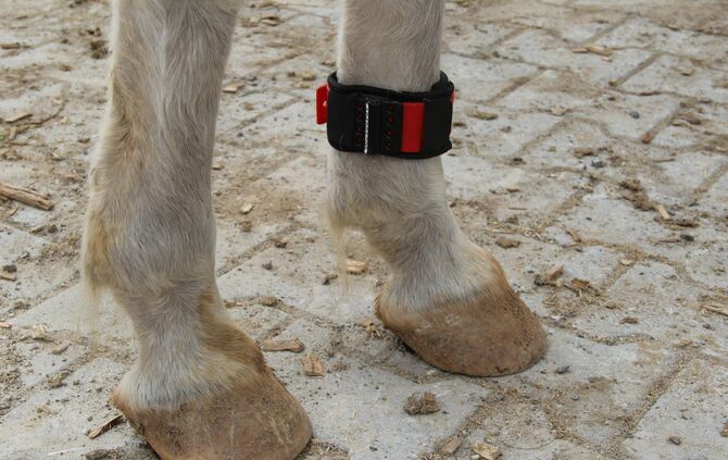 1fdad67c-e5d4-4d8c-a926-4f56caa973ab.jpg_4