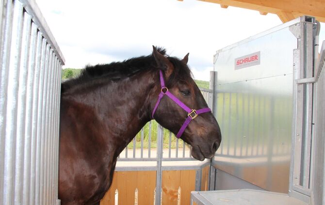 f9d86121-ad55-4a95-918e-4a2a3c284529.jpg_5