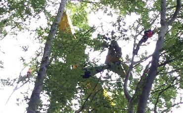pol-aa-lauterstein-schwaebisch-gmuend-zweite-folgemeldung-zum-flugunfall-pilot-aus-krankenhaus-entla_0