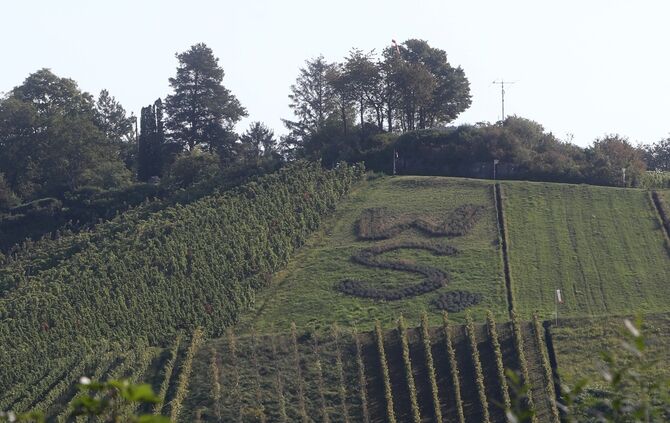 Weingut Wissmann-Stilz