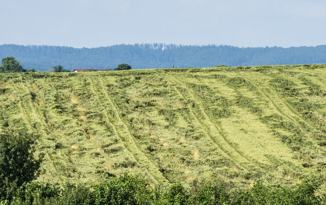 Überflutungen durch Unwetter - Bild 04_25