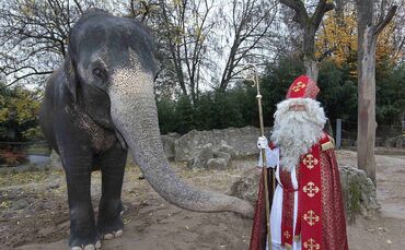 KW_48a_Sankt_Nikolaus_in_der_Wilhelma_30.11.2016_Bild_4_0