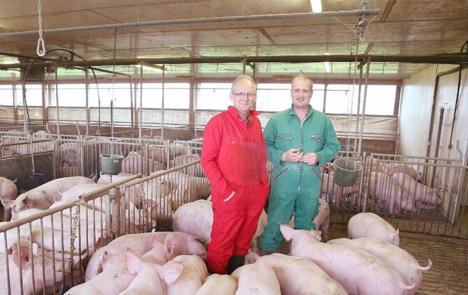 Schweinepreise_2