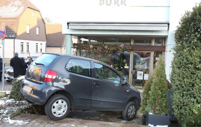 Fast in den Blumenladen_0