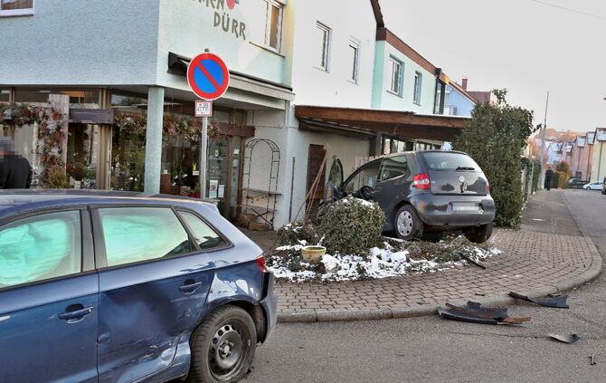 Fast in den Blumenladen_1