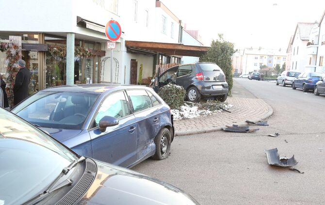 Fast in den Blumenladen_2