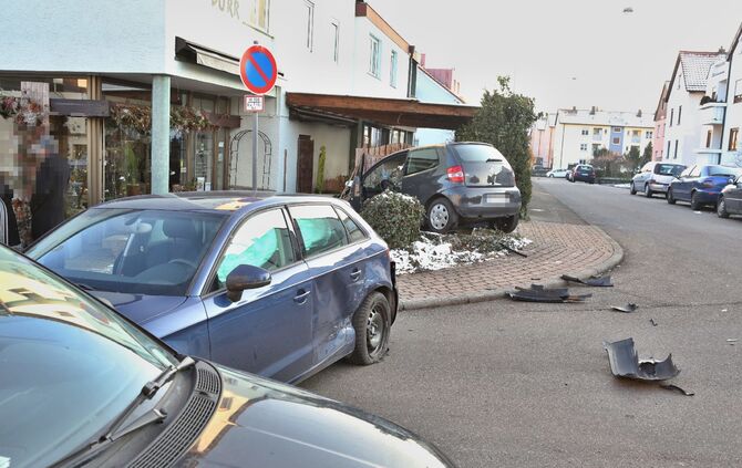 Fast in den Blumenladen_4