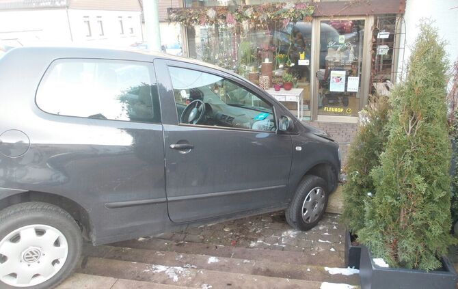 Auto fährt fast in Blumenladen_5