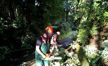 IMG_2292_0