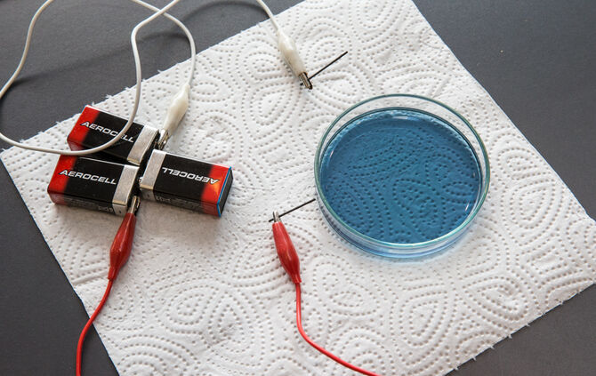 Job + Karrieretage - Bild 12_37