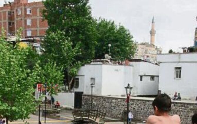 21ec8e59-db4b-4e4c-88b5-12f9894ce294.jpg_5