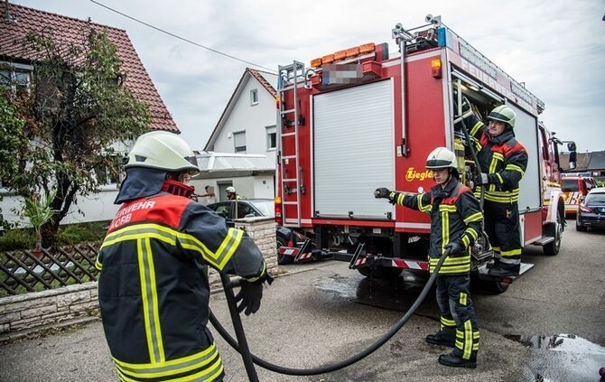 Laubverbrennung geht schief - Baum in Brand  - Bild 08_0