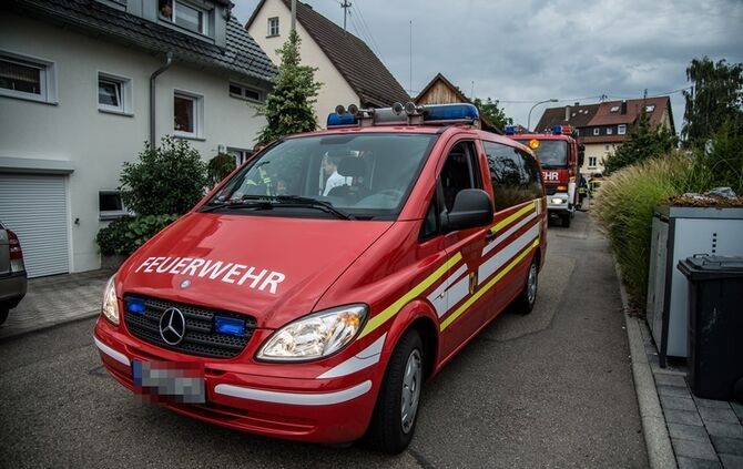 Laubverbrennung geht schief - Baum in Brand  - Bild 07_1
