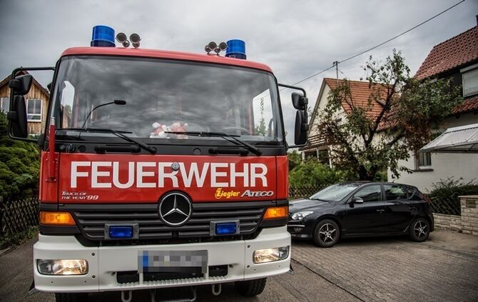 Laubverbrennung geht schief - Baum in Brand  - Bild 02_4