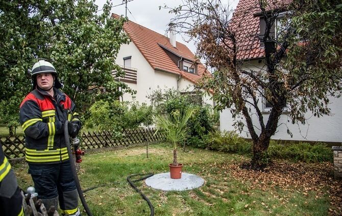 Laubverbrennung geht schief - Baum in Brand  - Bild 05_5