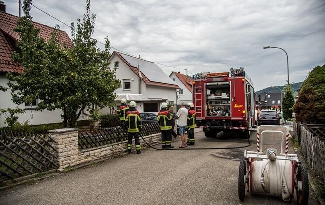 Laubverbrennung geht schief - Baum in Brand  - Bild 01_8