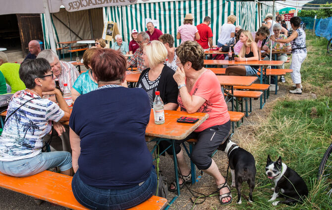 Laufen für einen guten Zweck - Bild 23_21