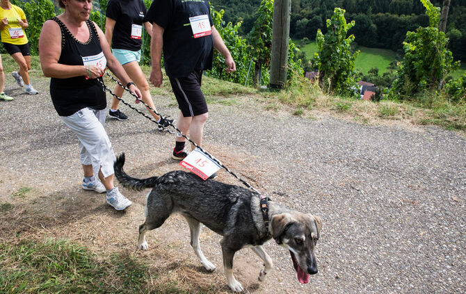 Laufen für einen guten Zweck - Bild 74_67