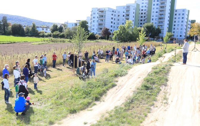 Geburtstafeln Kernen