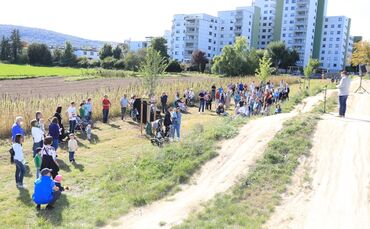 Geburtstafeln Kernen