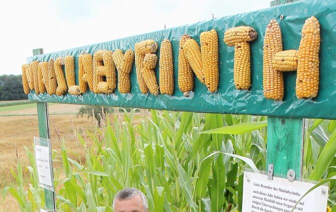 Maislabyrinth Alfdorf Bonholz 5. Cross-Media-Serie"Bauer sucht Nebenjob". Landwirt Günther Kolb hat ein Maislabyrinth.